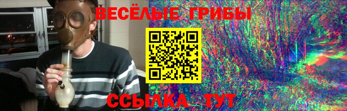 Соликамск  Псилоцибиновые грибы ЛСД  цены   Вход с VPN 
