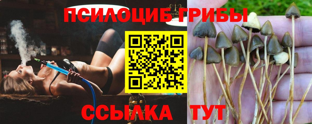 Псилоцибиновые грибы Magic Shrooms Соликамск